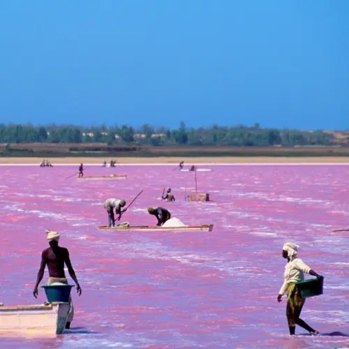 Lac Rose