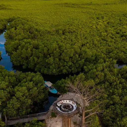 Îles du Saloum