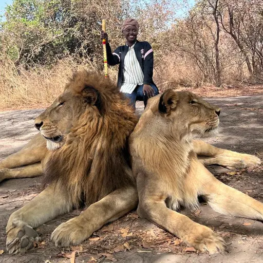 Balade avec les Lions