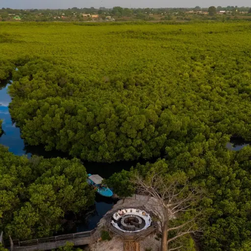 Parc National du Delta