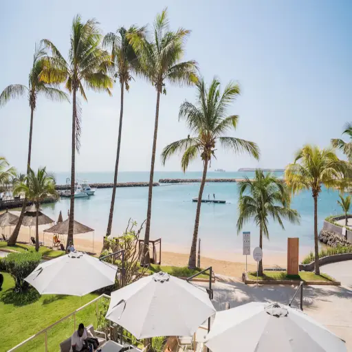 Plage bordée de palmiers à Dakar