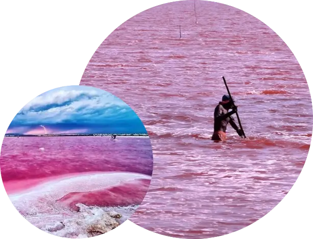 Baignade flottante