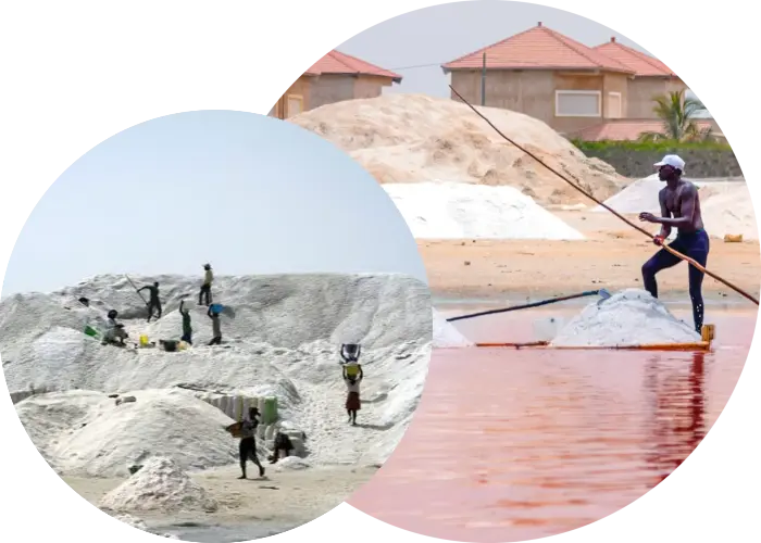 Visite des exploitations