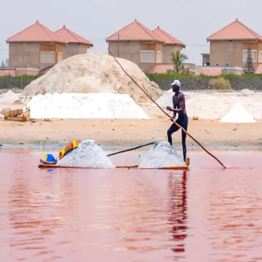 Récolte du sel au Lac Rose