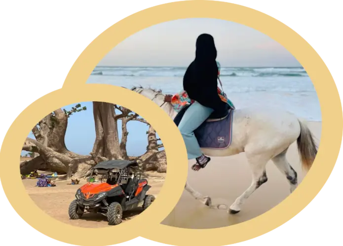 Balade à cheval ou en quad