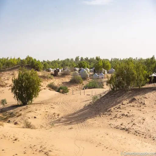Campement entre dunes et végétation à Lompoul