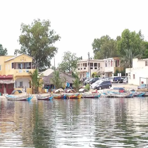 Pirogues amarrées devant un village du Sine-Saloum