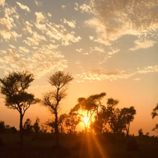 Coucher de soleil sur le Sine-Saloum