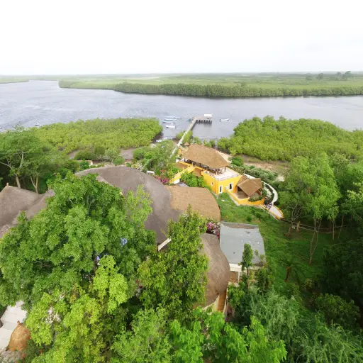 Vue aérienne d'un lodge dans la mangrove du Saloum