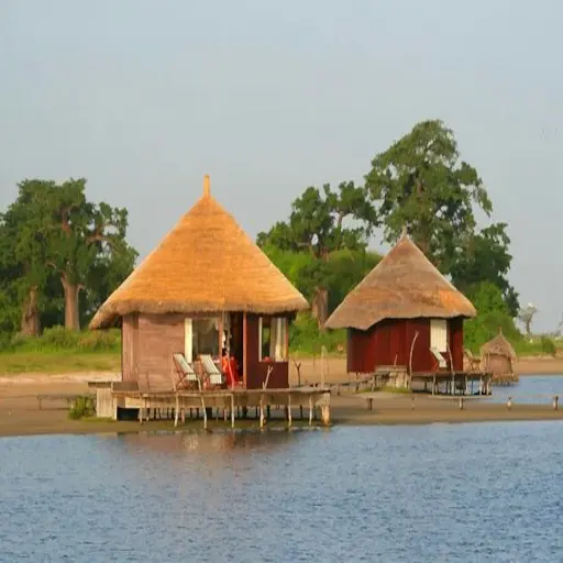 Bungalows sur pilotis au bord de l'eau dans le Sine-Saloum
