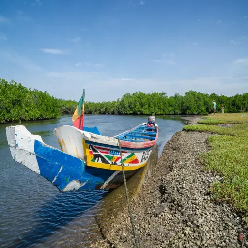 Pirogue colorée dans un bolong du Sine-Saloum