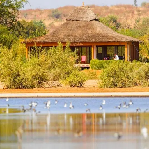 Lodge au bord de la lagune de la Somone, avec des oiseaux