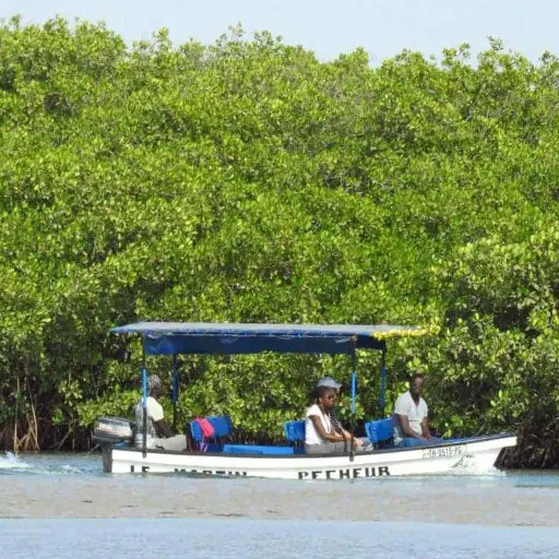 Balade en bateau dans la mangrove de la Somone