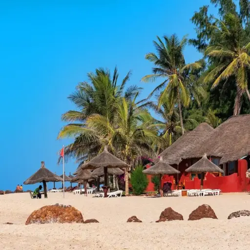 Paillotes et palmiers sur une plage de la Somone