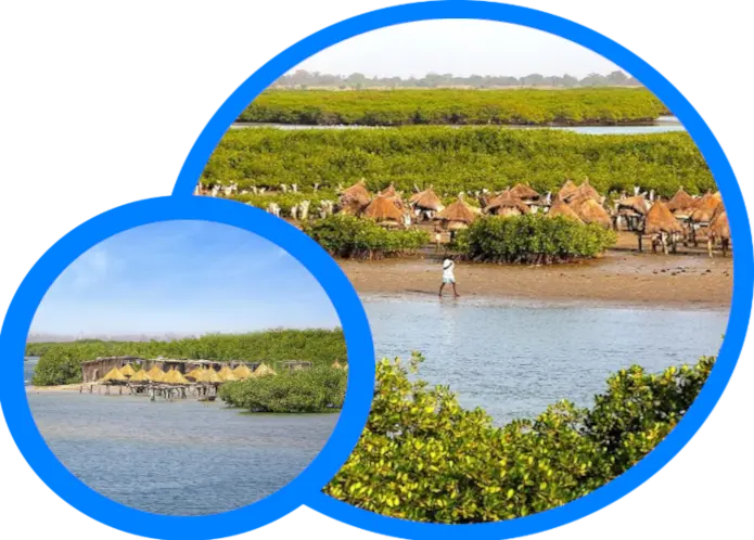 Visite des Îles et des Villages