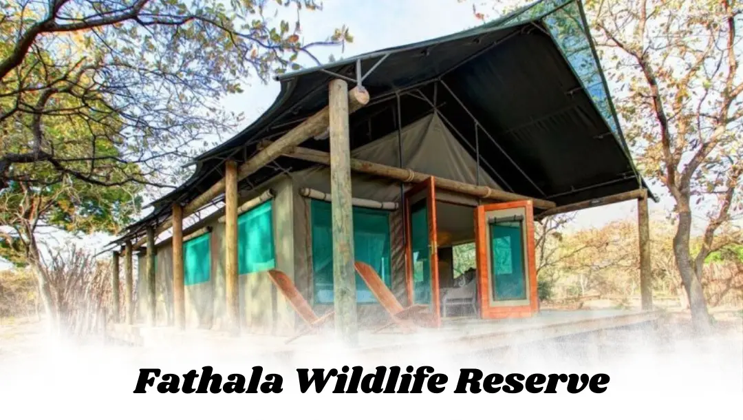 Fathala Wildlife Reserve : tente suite de luxe