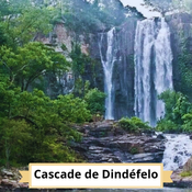 Cascade dans la forêt