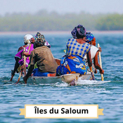 Îles du Saloum : traversée en pirogue