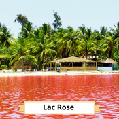 Lac Rose : eaux roses et cocotiers
