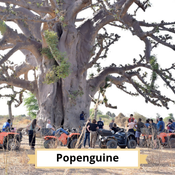 Popenguine : halte en quad au pied d'un baobab