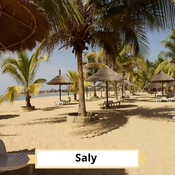 Saly : plage, palmiers et paillotes
