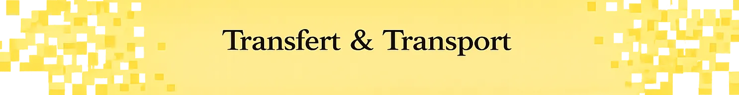 Transfert et Transport