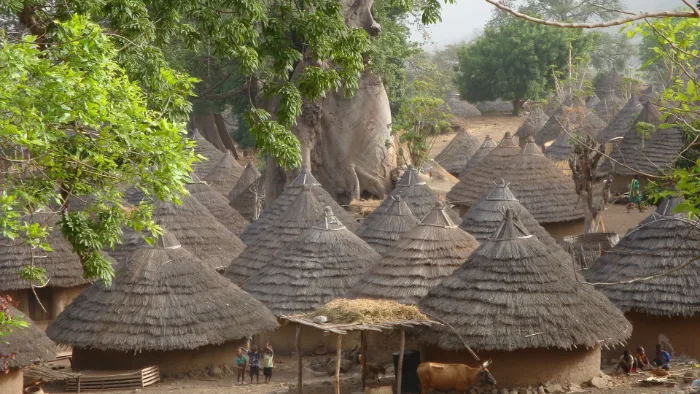 Tamba