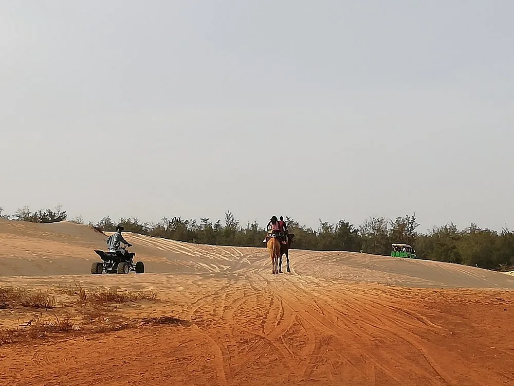 Chez Salim Lac Rose : Services de transport